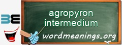 WordMeaning blackboard for agropyron intermedium